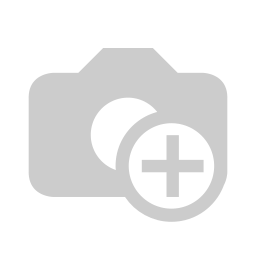Control Boot_Brown.v1.webp